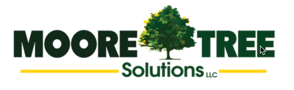 Your Local Biz Guide - Local Business Directory : Moore Tree solutions